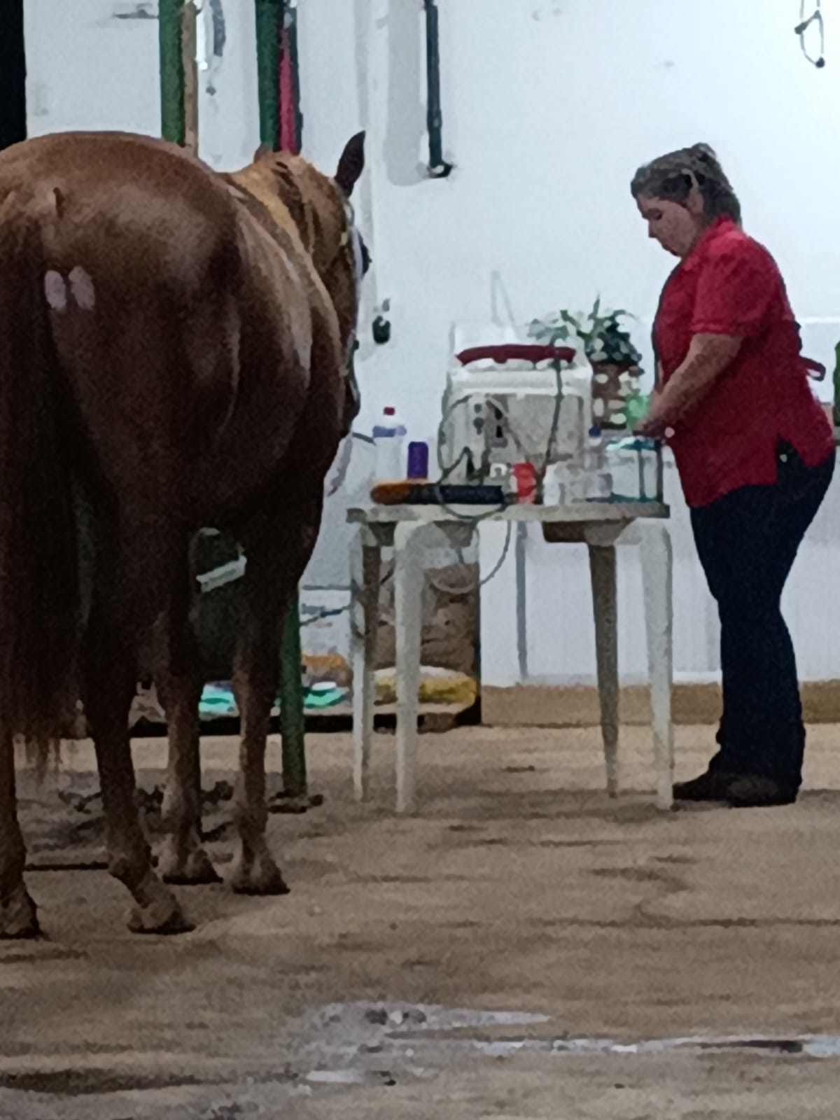 Atendimento em Haras