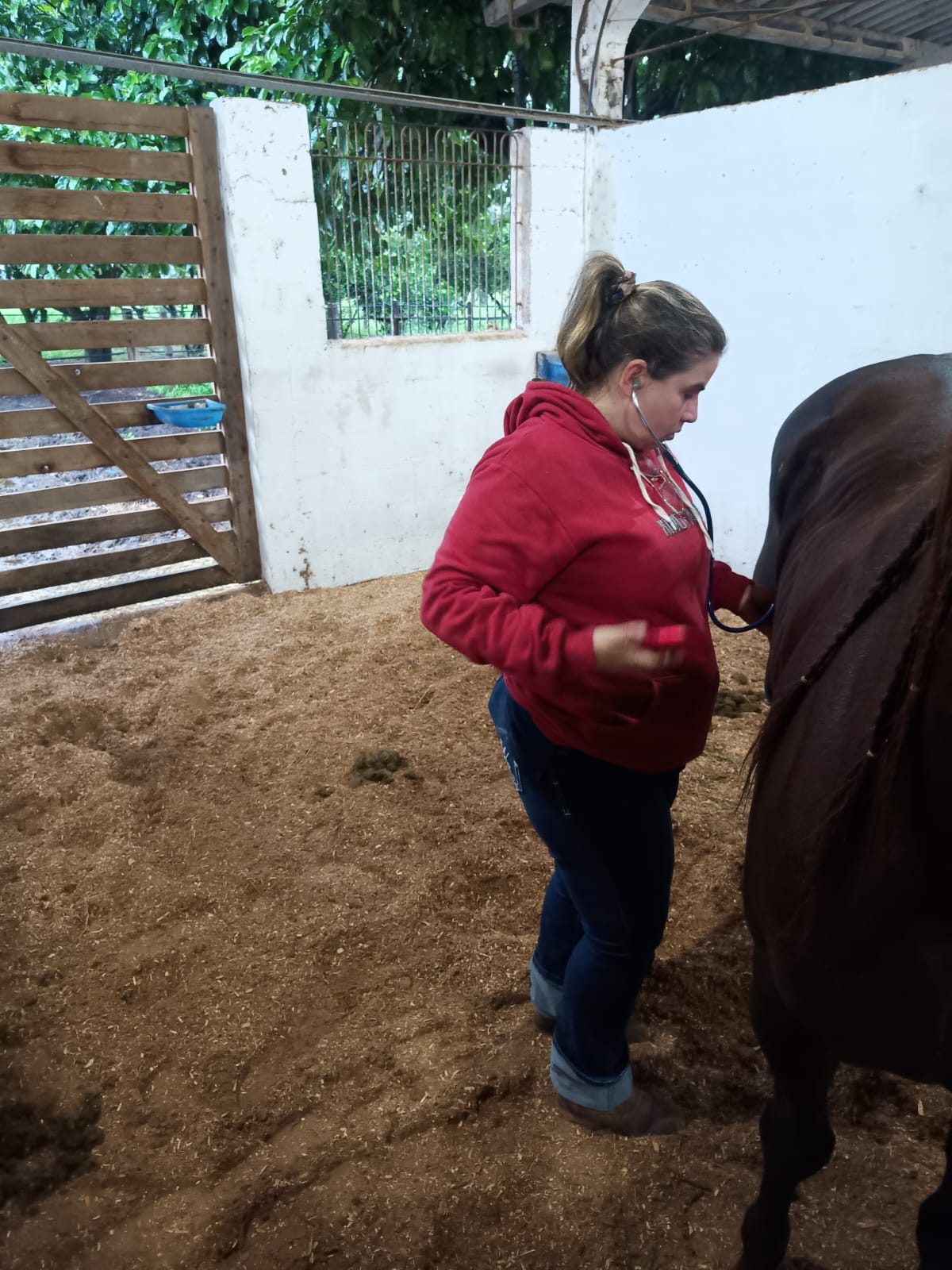 Avaliação Clínica